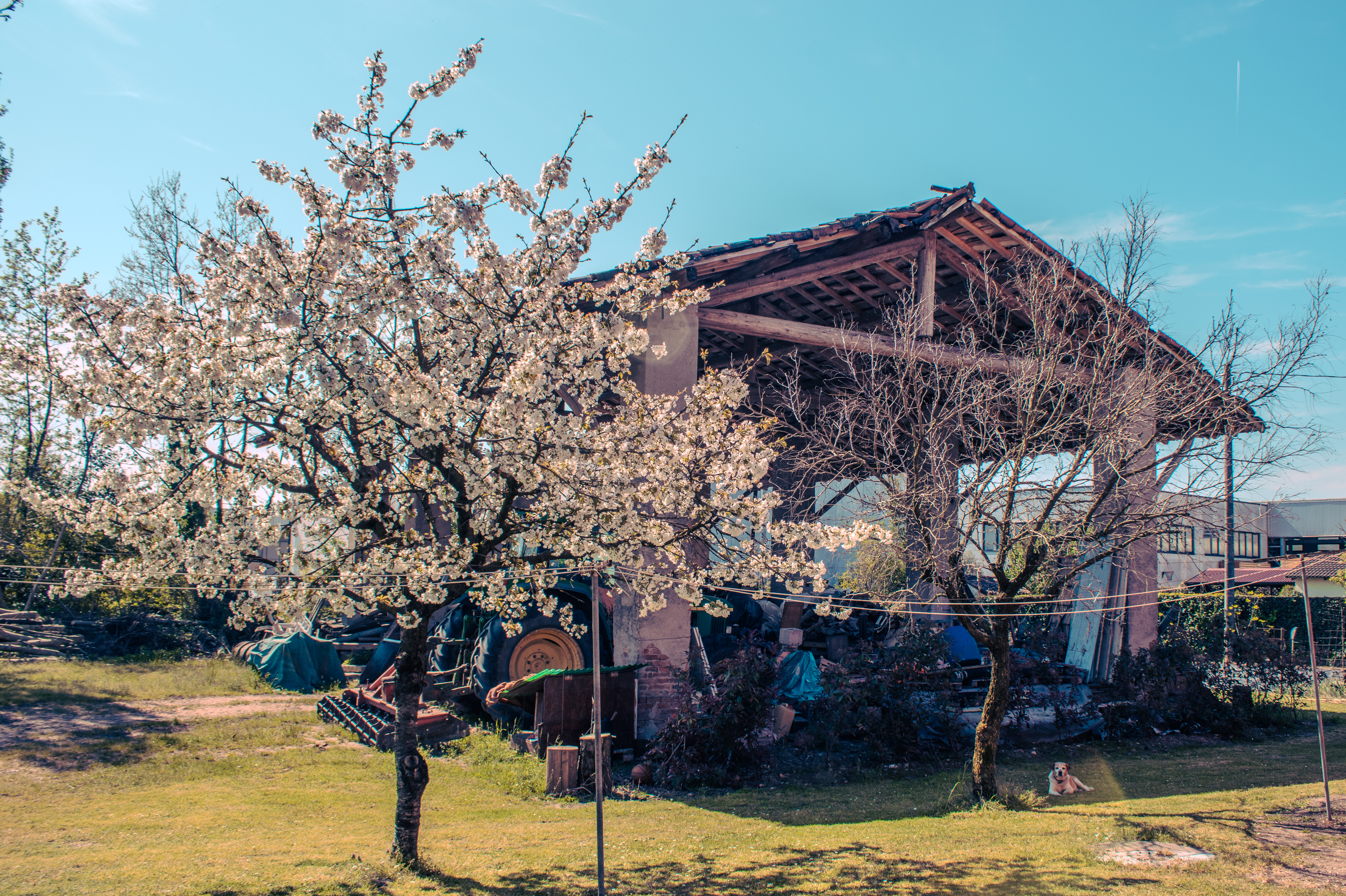 L'esterno in primavera